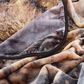 Timberlake Lavish Home Pair of Wolves Pattern Fleece, , large