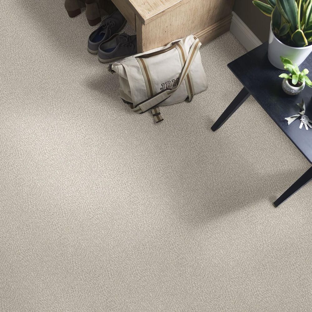 Anderson Tuftex Fur-Ever Carpet in Bennington, , large