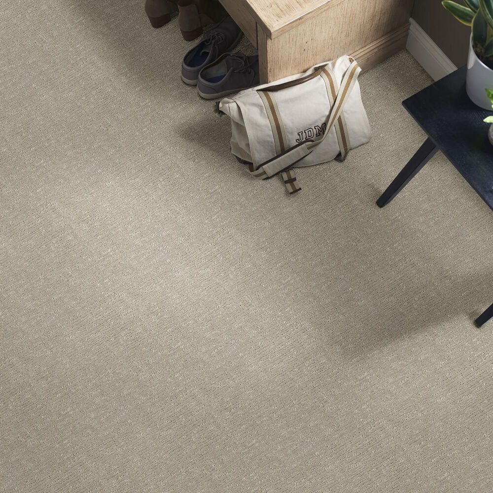 Anderson Tuftex Contour Carpet in Cumulus, , large