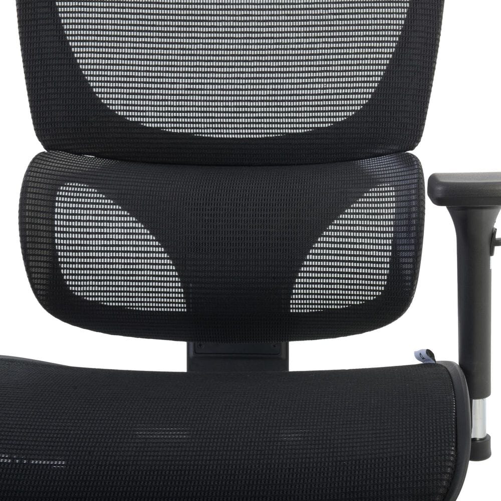 Regency Global Sourcing Omega Mesh O-2 Tech Ergonomic Management Office Chair in Black, , large