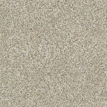 Dixie Home Main Force Carpet in Sandstone, , large