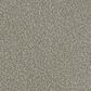 Phenix In The Details Carpet in Defined, , large