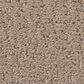 Shaw Studio Set Carpet in Worn Path, , large