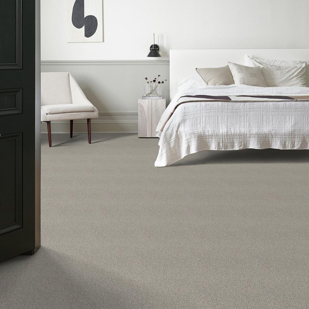 Shaw Tonal Comfort I Carpet in Back Patio, , large