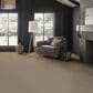 Anderson Tuftex Wyndham Estate Carpet in Chic Taupe, , large