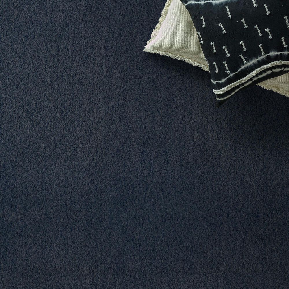 Anderson Tuftex Luxe Feel II Carpet in Mariner, , large