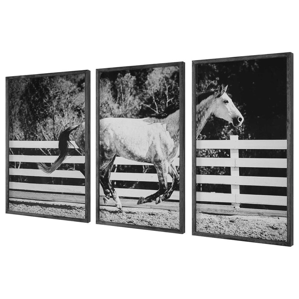 Uttermost Galloping Forward 35&quot; x 21&quot; Prints in Black &#40;Set of 2&#41;, , large