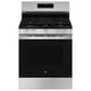 GE Appliances 30" Freestanding Gas Range with 5 Burners in Stainless Steel and Black, , large