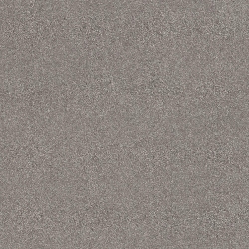 Shaw Easy Spirit III 15&#39; Carpet in Dusty Trail, , large