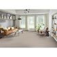 Phenix Emerson Carpet in Trendsetter, , large