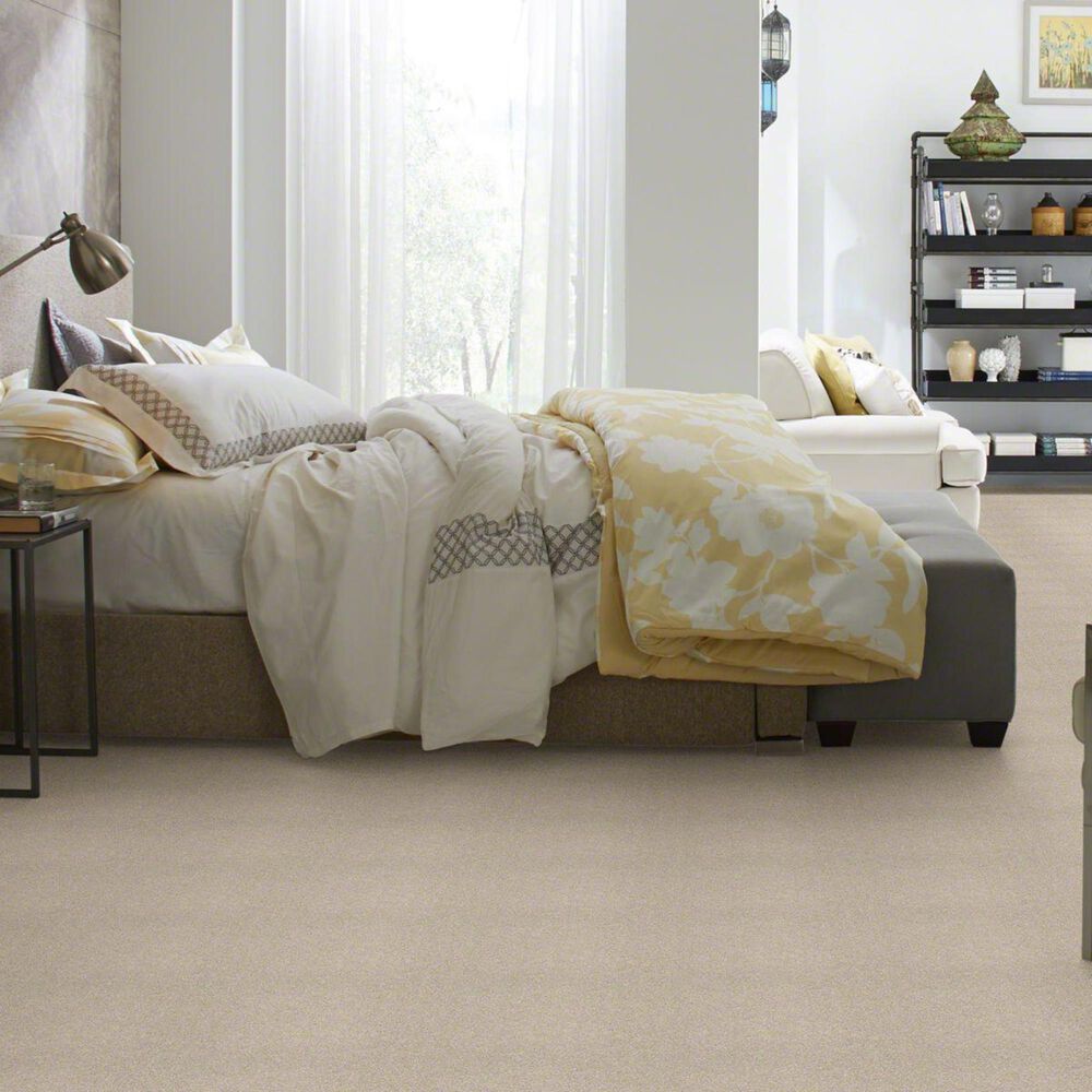 Philadelphia Basic Rules Carpet in Arctic Fox, , large