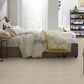 Philadelphia Basic Rules Carpet in Arctic Fox, , large