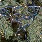 The Gerson Company 6.5" Monaco Pine Artificial Christmas Tree with Warm White LED Lights in Green, , large