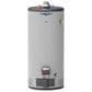 GE Appliances RealMAX Premium 40-Gallon Short Natural Gas Ultra Low-NOx Atmospheric Water Heater in Gray, , large