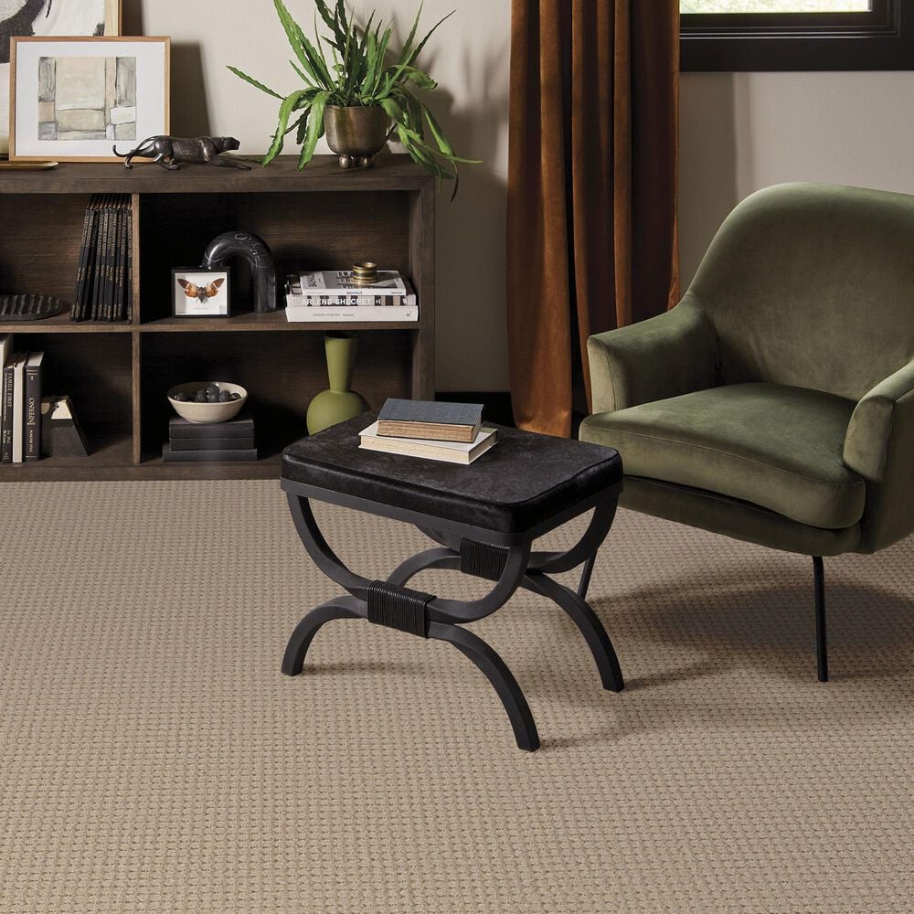 Anderson Tuftex Rhode Carpet in Cork, , large