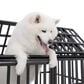 HOMLUX 55" Heavy Duty Dog Cage Pet Crate with Roof and Window on Roof in Black, , large