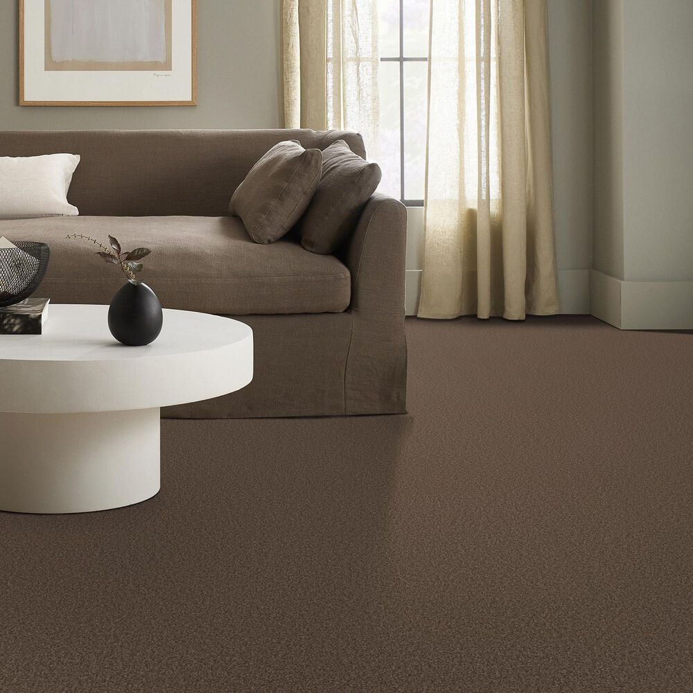 Shaw Tonal Comfort Ii Carpet in Cliff Hiking, , large