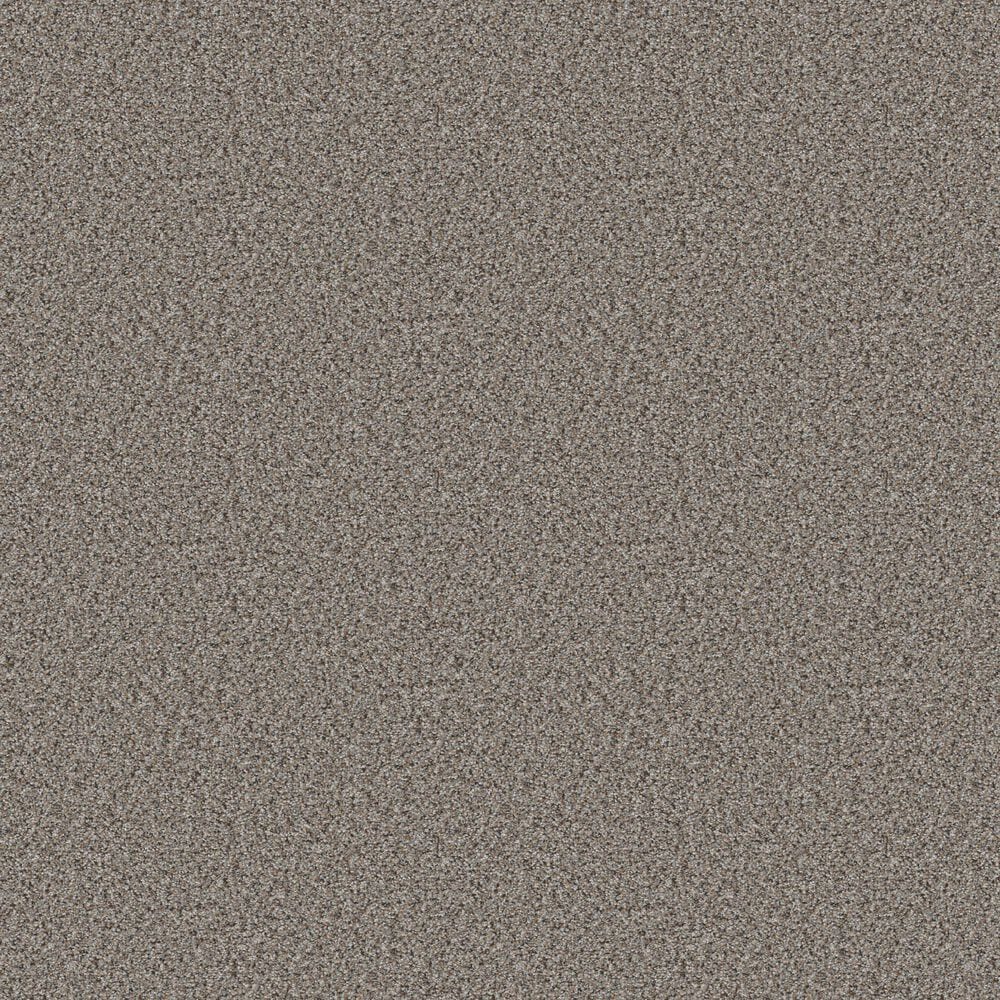 Shaw Abilene I Carpet in Powerful, , large