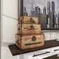 Maple and Jade 3-Piece Transportation Vintage Decorative Trunk in Matte Brown and Gold, , large