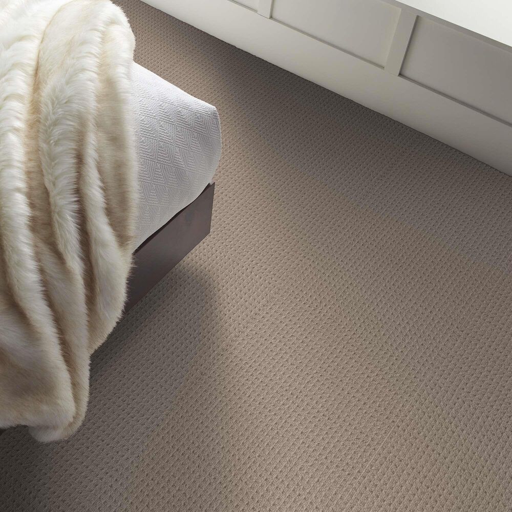 Shaw Framed View Carpet in Pebble Path, , large