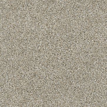 Dixie Home Main Force Carpet in Opal, , large