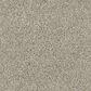 Dixie Home Main Force Carpet in Opal, , large