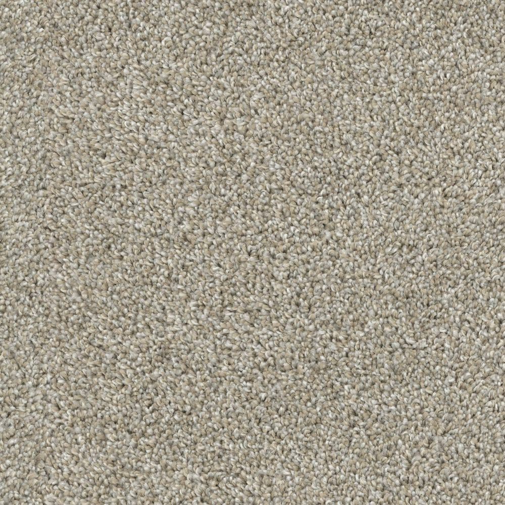 Dixie Home Main Force Carpet in Opal, , large