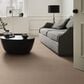 Shaw Wayfarer Carpet in Arizona Tan, , large