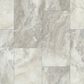 Shaw Paragon Tile Plus White Onyx 12" x 24" Luxury Vinyl Tile, , large