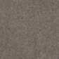 Shaw Yes You Can I Carpet in Ashes, , large