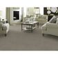 Anderson Tuftex Moondance Carpet in Chatroom, , large