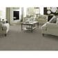 Anderson Tuftex Moondance Carpet in Chatroom, , large