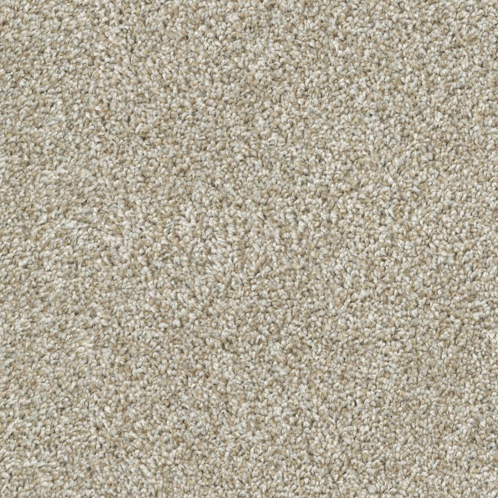 Dixie Home Riverbend Carpet in Sandstone, , large