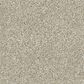 Dixie Home Riverbend Carpet in Sandstone, , large