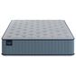 Dreamfinity Fliprest Medium King Mattress with Low Profile Box Springs, , large