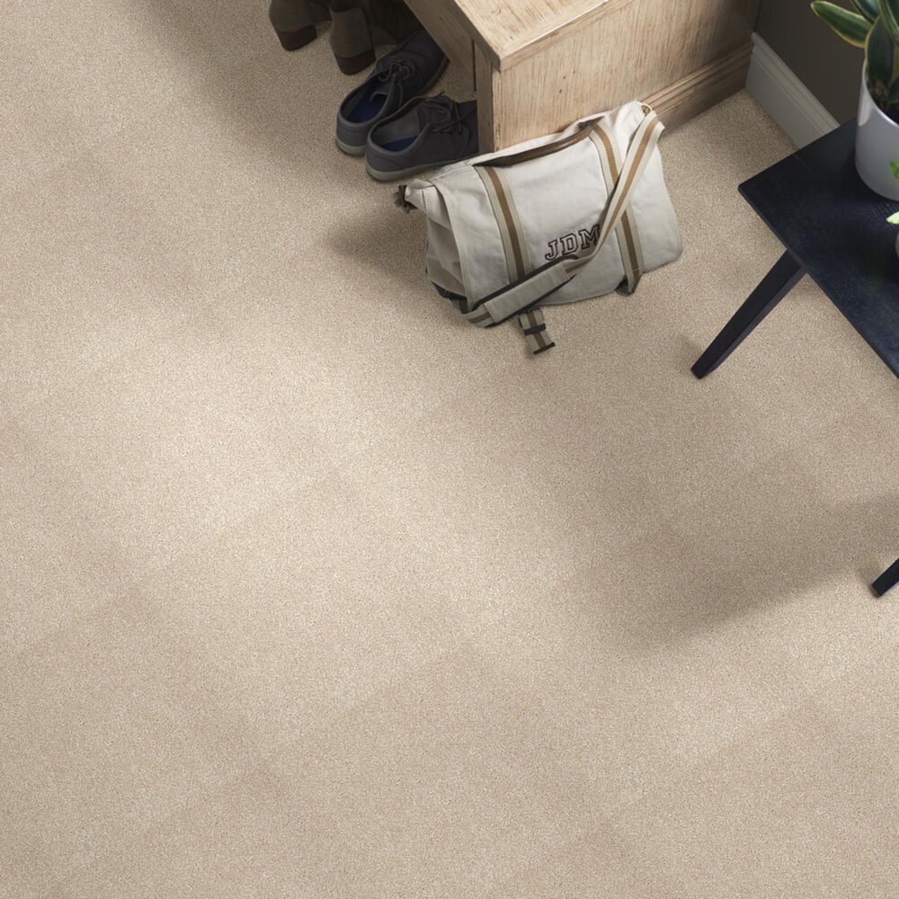 Shaw Foundations Take The Floor Texture Blue Carpet in Hickory, , large
