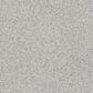 Dream Weaver Prismatic III Carpet in Compliment, , large