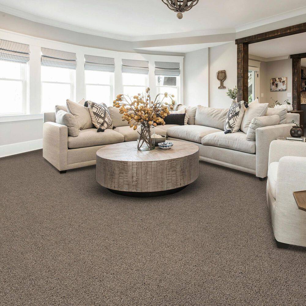 Karastan Classic Comfort Carpet in Dapper, , large