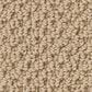 Anderson Tuftex Gracious Carpet in Golden Rule, , large