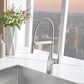 Blanco Rivana Semi Pro Kitchen Faucet in Chrome, , large