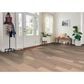 Robbins Rustic Directions Moonlight Breeze Hickory Hardwood, , large
