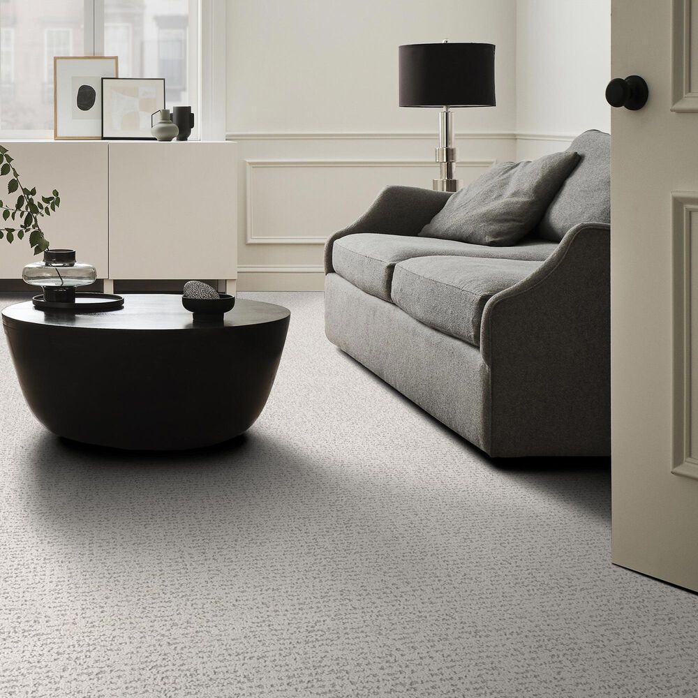 Anderson Tuftex Tangent Carpet in First Frost, , large