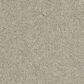 Shaw Barracan Classic I Carpet in Spruce, , large