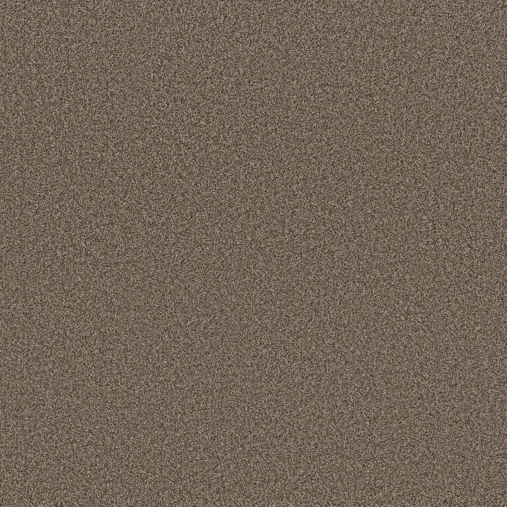 Anderson Tuftex Wyndham Estate Carpet in Smokehouse, , large