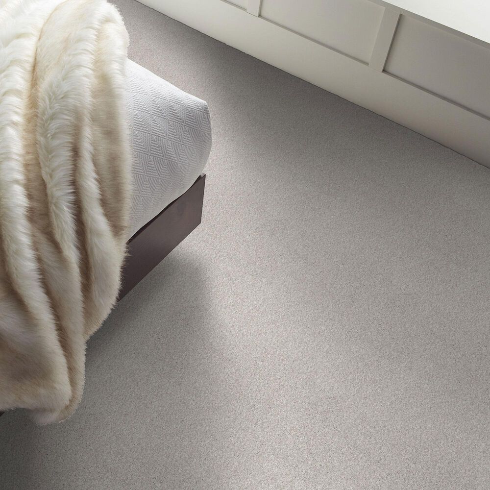 Shaw Comforting I Carpet in Thin Ice, , large