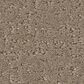 Shaw Canvas Comfort Blue Carpet in Camping Trip, , large