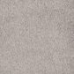 Mohawk Windsor Gardens I Carpet in Natural Grain, , large