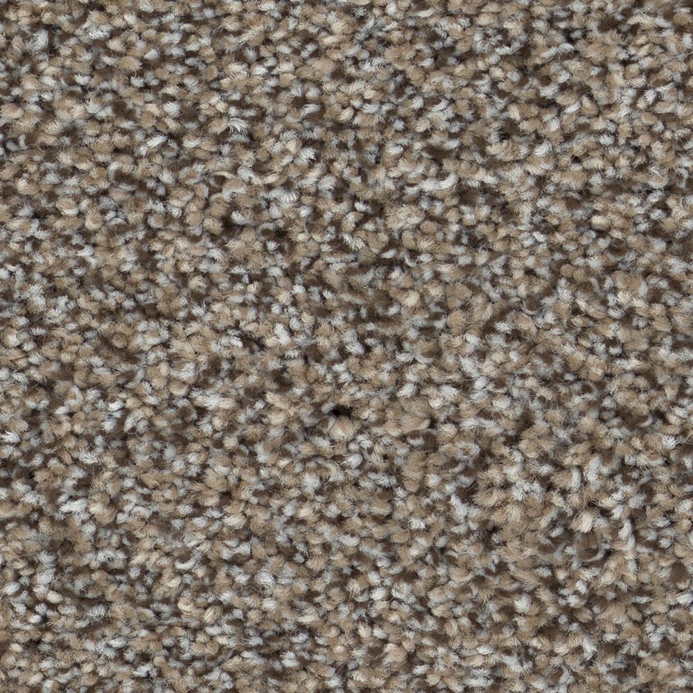 Shaw Game Changing II Carpet in Cliffside, , large