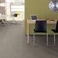 Anderson Tuftex Wanderer Carpet in Moonshine, , large