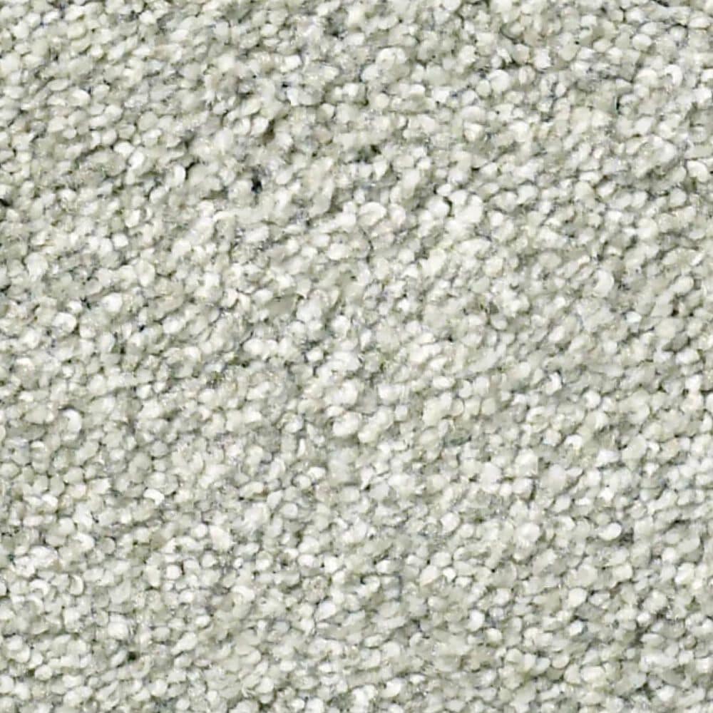 Shaw Tonal Comfort Ii Carpet in Willow Tree, , large
